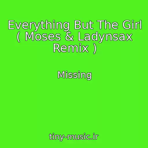 کاور آهنگ Everything But The Girl ( Moses & Ladynsax Remix ) از Missing