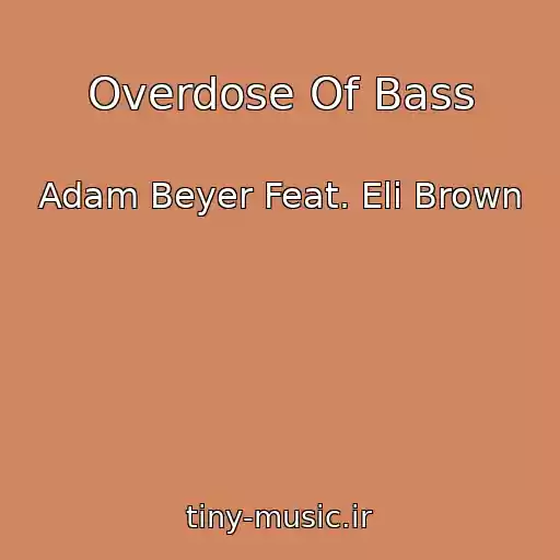 کاور آهنگ Overdose Of Bass از Adam Beyer Feat. Eli Brown