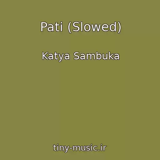 کاور آهنگ Pati (Slowed) از Katya Sambuka