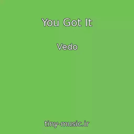 کاور آهنگ You Got It از Vedo