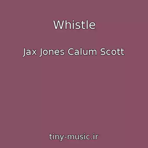 کاور آهنگ Whistle از Jax Jones Calum Scott