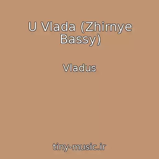 کاور آهنگ U Vlada (Zhirnye Bassy) از Vladus