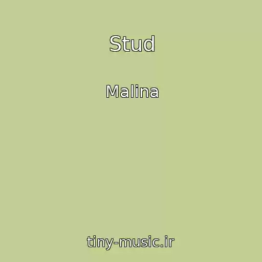کاور آهنگ Stud از Malina