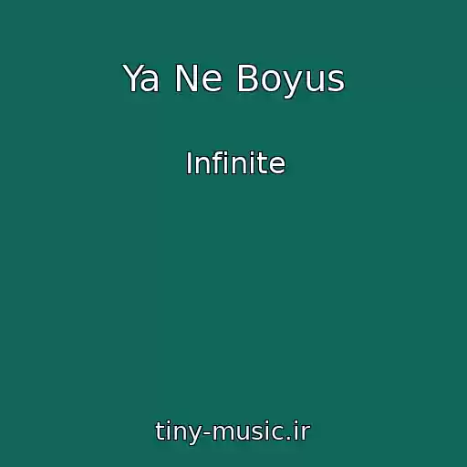 کاور آهنگ Ya Ne Boyus از Infinite