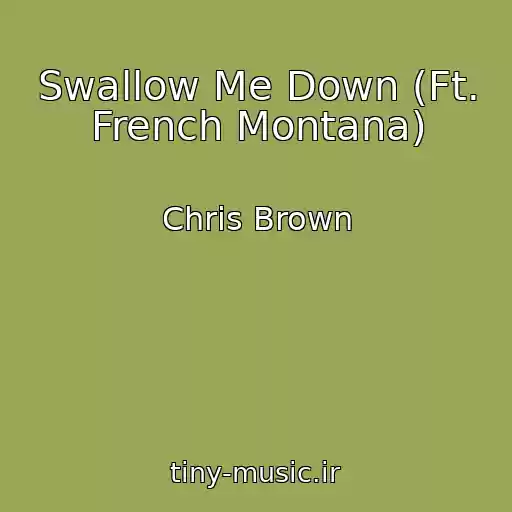 کاور آهنگ Swallow Me Down (Ft. French Montana) از Chris Brown