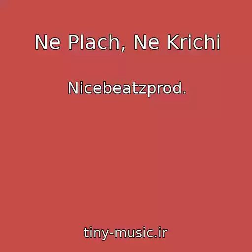 کاور آهنگ Ne Plach, Ne Krichi از Nicebeatzprod.