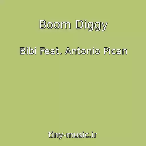 کاور آهنگ Boom Diggy از Bibi Feat. Antonio Pican