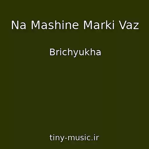 کاور آهنگ Na Mashine Marki Vaz از Brichyukha
