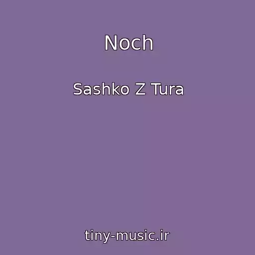 کاور آهنگ Noch از Sashko Z Tura