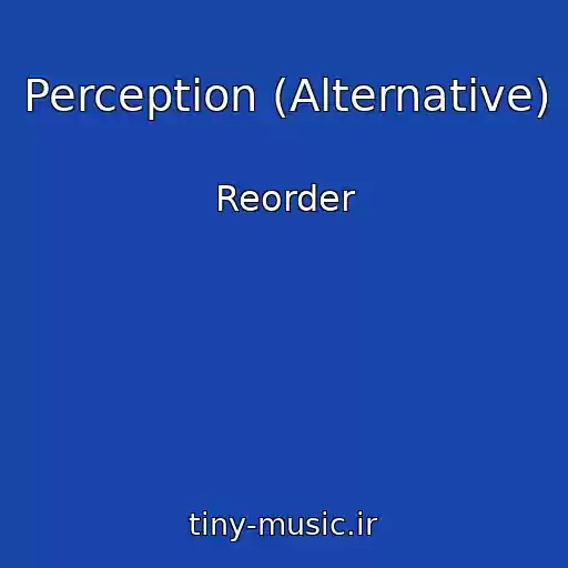 کاور آهنگ Perception (Alternative) از Reorder