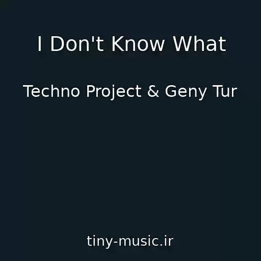 کاور آهنگ I Don't Know What از Techno Project & Geny Tur