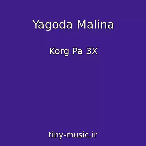 کاور آهنگ Yagoda Malina از Korg Pa 3X