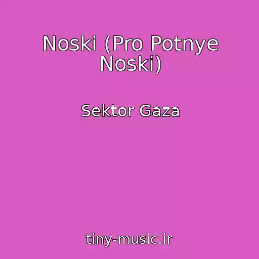 کاور آهنگ Noski (Pro Potnye Noski) از Sektor Gaza