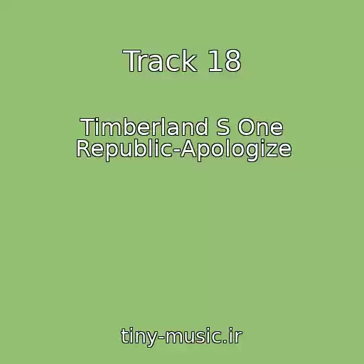 کاور آهنگ Track 18 از Timberland S One Republic-Apologize
