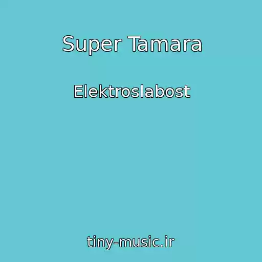 کاور آهنگ Super Tamara از Elektroslabost