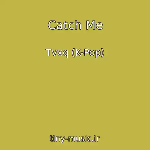 کاور آهنگ Catch Me از Tvxq (K-Pop)