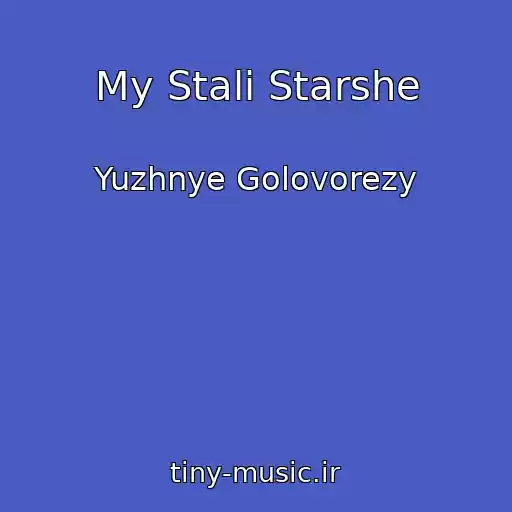 کاور آهنگ My Stali Starshe از Yuzhnye Golovorezy