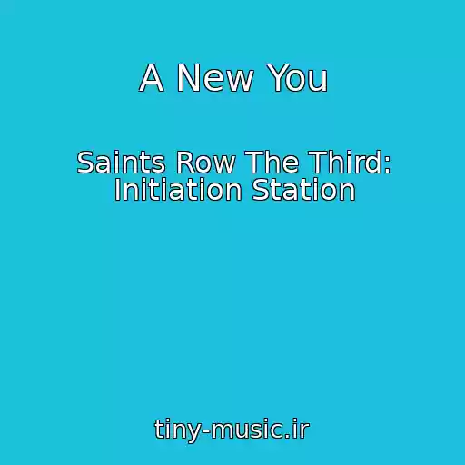 کاور آهنگ A New You از Saints Row The Third: Initiation Station