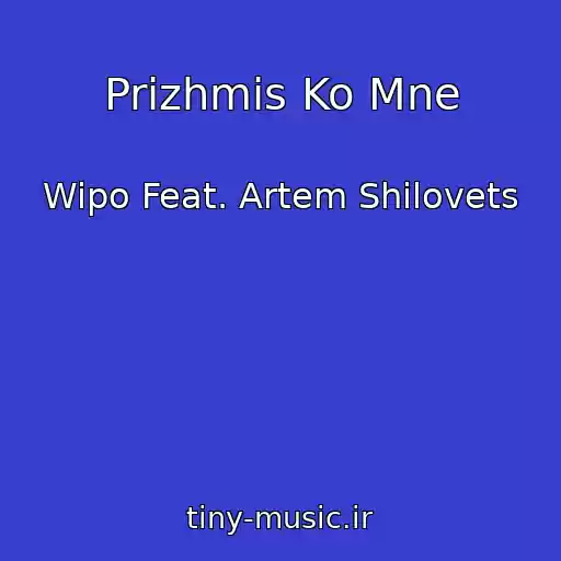 کاور آهنگ Prizhmis Ko Mne از Wipo Feat. Artem Shilovets