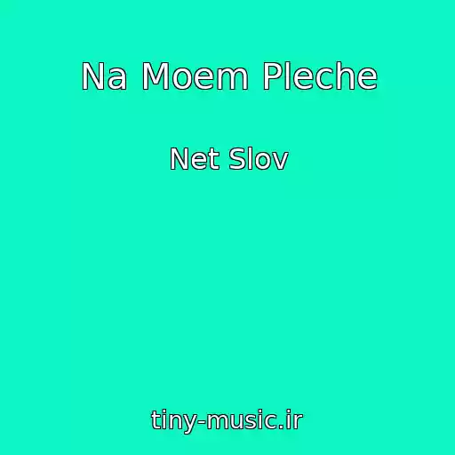 کاور آهنگ Na Moem Pleche از Net Slov