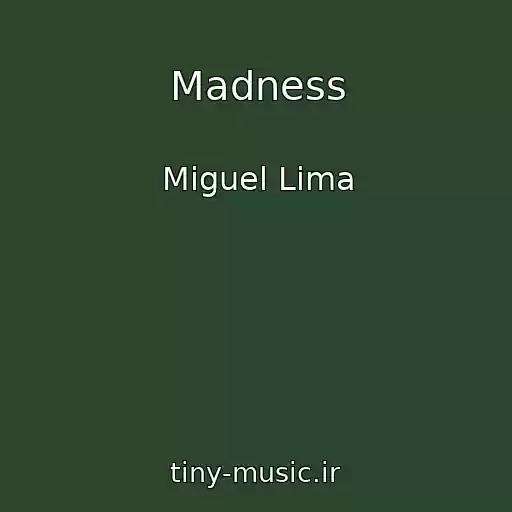 کاور آهنگ Madness از Miguel Lima