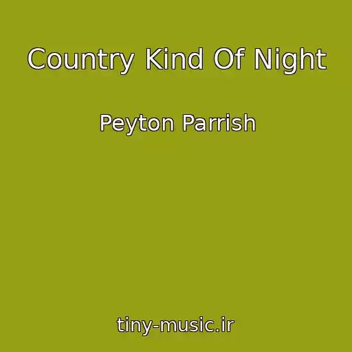 کاور آهنگ Country Kind Of Night از Peyton Parrish