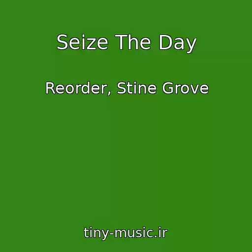 کاور آهنگ Seize The Day از Reorder, Stine Grove