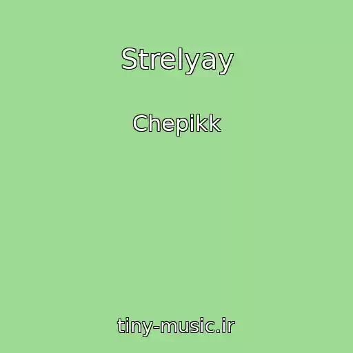 کاور آهنگ Strelyay از Chepikk