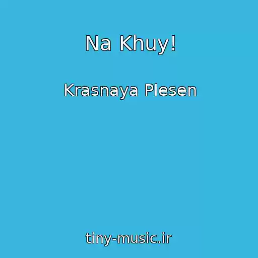 کاور آهنگ Na Khuy! از Krasnaya Plesen