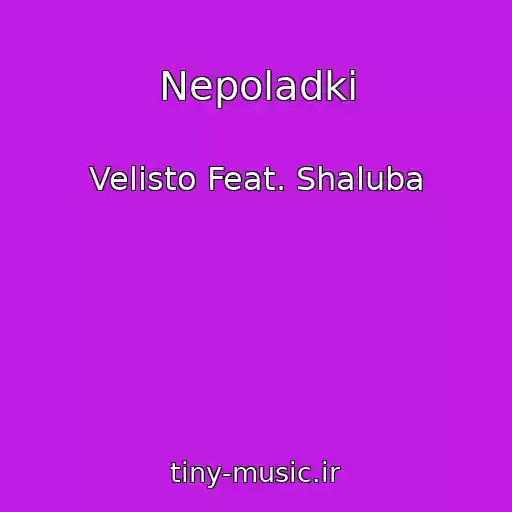کاور آهنگ Nepoladki از Velisto Feat. Shaluba