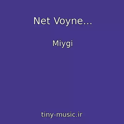 کاور آهنگ Net Voyne... از Miygi