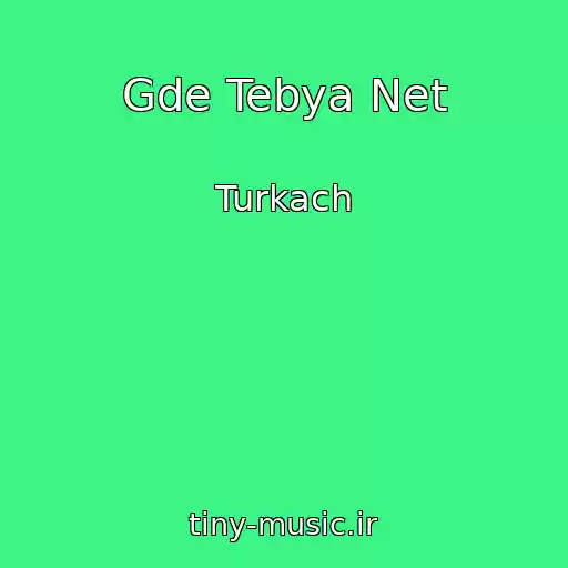 کاور آهنگ Gde Tebya Net از Turkach