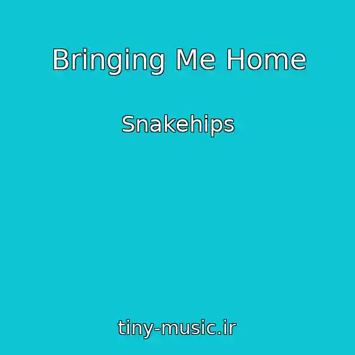 کاور آهنگ Bringing Me Home از Snakehips