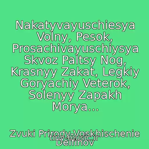 کاور آهنگ Nakatyvayuschiesya Volny, Pesok, Prosachivayuschiysya Skvoz Paltsy Nog, Krasnyy Zakat, Legkiy Goryachiy Veterok, Solenyy Zapakh Morya... از Zvuki Prirody-Voskhischenie Delfinov