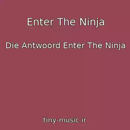 کاور آهنگ Enter The Ninja از Die Antwoord Enter The Ninja