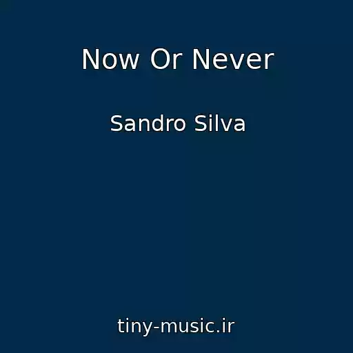 کاور آهنگ Now Or Never از Sandro Silva