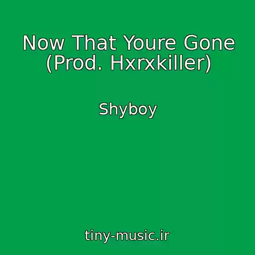 کاور آهنگ Now That Youre Gone (Prod. Hxrxkiller) از Shyboy