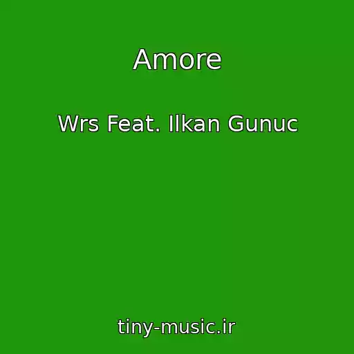 کاور آهنگ Amore از Wrs Feat. Ilkan Gunuc