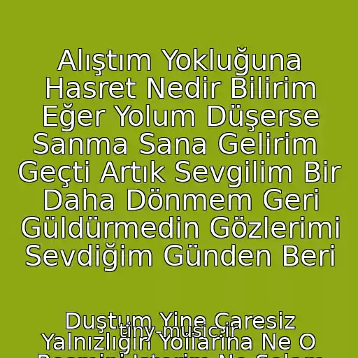 کاور آهنگ Alıştım Yokluğuna Hasret Nedir Bilirim Eğer Yolum Düşerse Sanma Sana Gelirim  Geçti Artık Sevgilim Bir Daha Dönmem Geri Güldürmedin Gözlerimi Sevdiğim Günden Beri از Duştum Yine Çaresiz Yalnızlığın Yollarına Ne O Resmini Isterim Ne Selam Gönder Bana