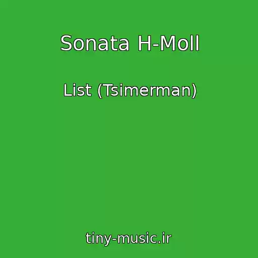 کاور آهنگ Sonata H-Moll از List (Tsimerman)