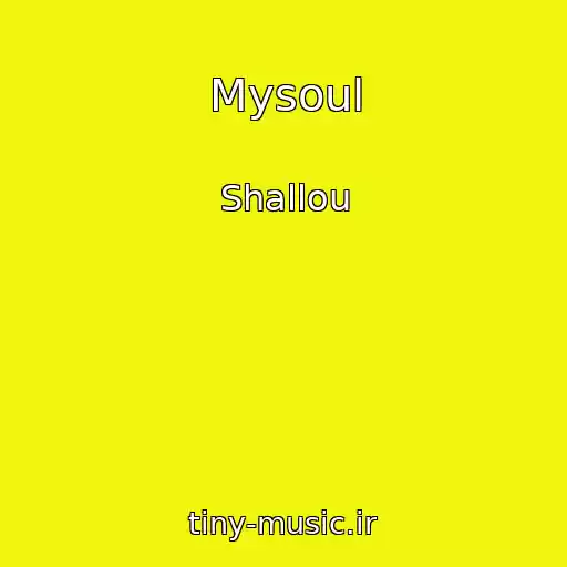 کاور آهنگ Mysoul از Shallou