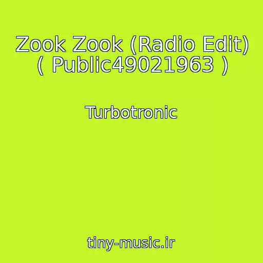 کاور آهنگ Zook Zook (Radio Edit) ( Public49021963 ) از Turbotronic