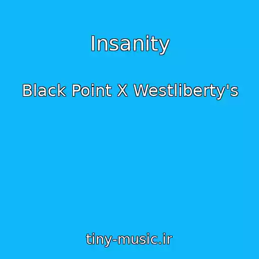 کاور آهنگ Insanity از Black Point X Westliberty's