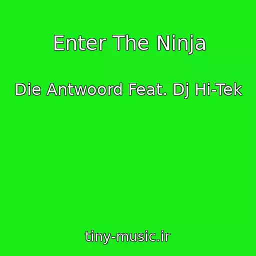 کاور آهنگ Enter The Ninja از Die Antwoord Feat. Dj Hi-Tek