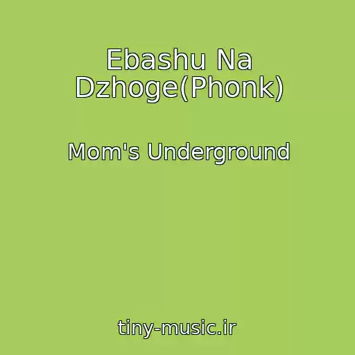 کاور آهنگ Ebashu Na Dzhoge(Phonk) از Mom's Underground