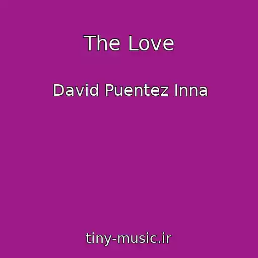 کاور آهنگ The Love از David Puentez Inna
