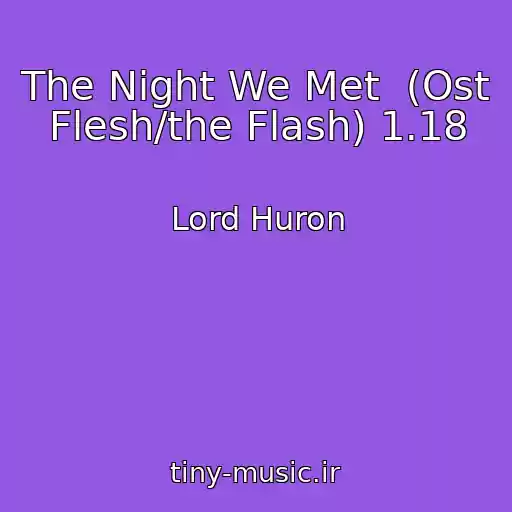 کاور آهنگ The Night We Met  (Ost Flesh/the Flash) 1.18 از Lord Huron