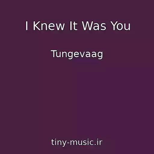 کاور آهنگ I Knew It Was You از Tungevaag