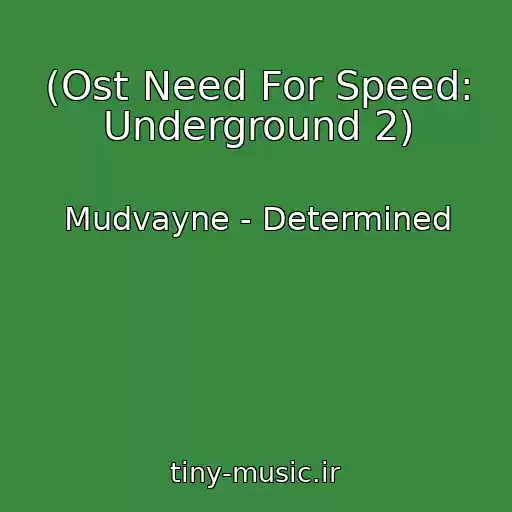 کاور آهنگ (Ost Need For Speed: Underground 2) از Mudvayne - Determined