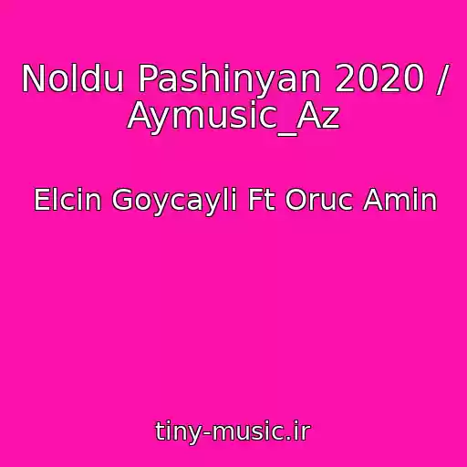 کاور آهنگ Noldu Pashinyan 2020 / Aymusic_Az از Elcin Goycayli Ft Oruc Amin